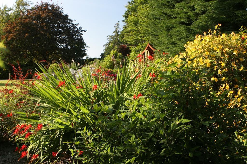 Friars Quarter House Bed & Breakfast Ballinrobe Dış mekan fotoğraf